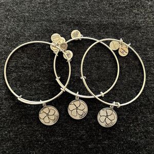 Because I Love You Friend Alex & Ani Bangle Bracelet Trio